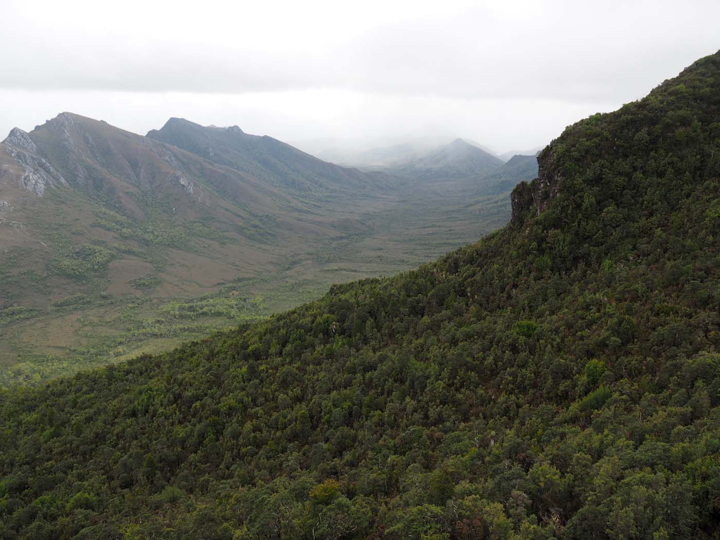 Sentinels summit track tasmania (37)