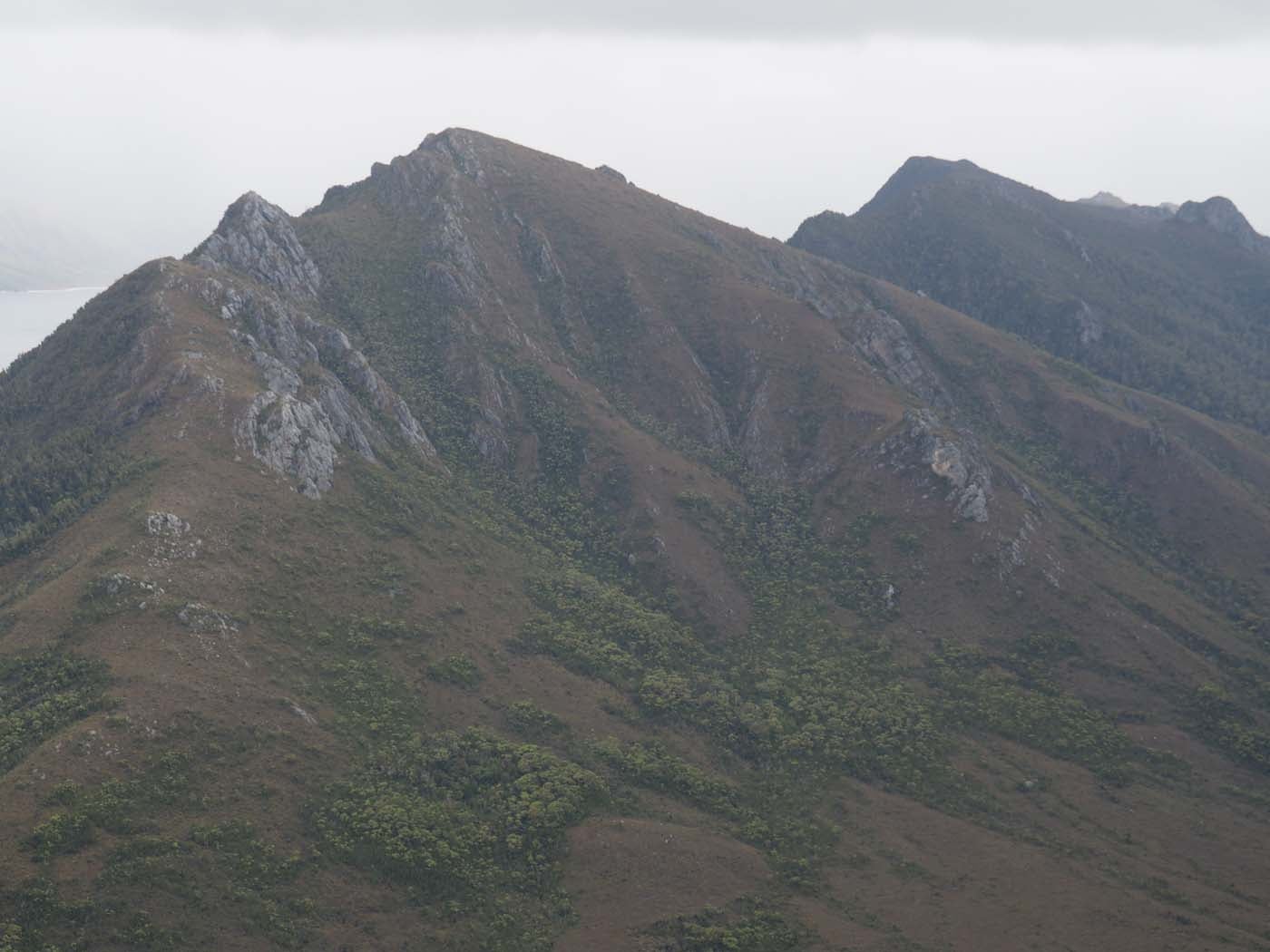 Sentinels summit track tasmania (38)