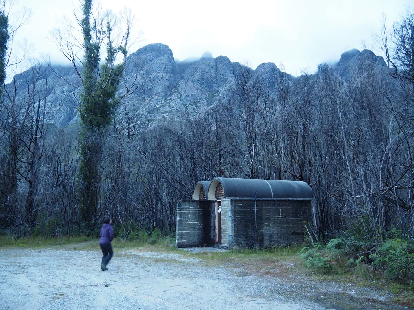 Sentinels summit track tasmania (4)