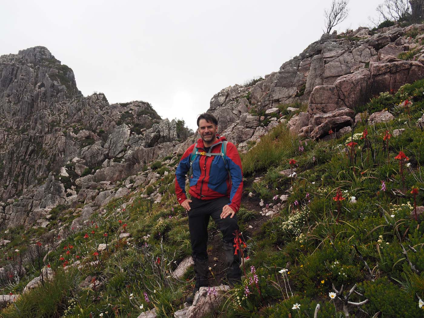 Sentinels summit track tasmania (43)
