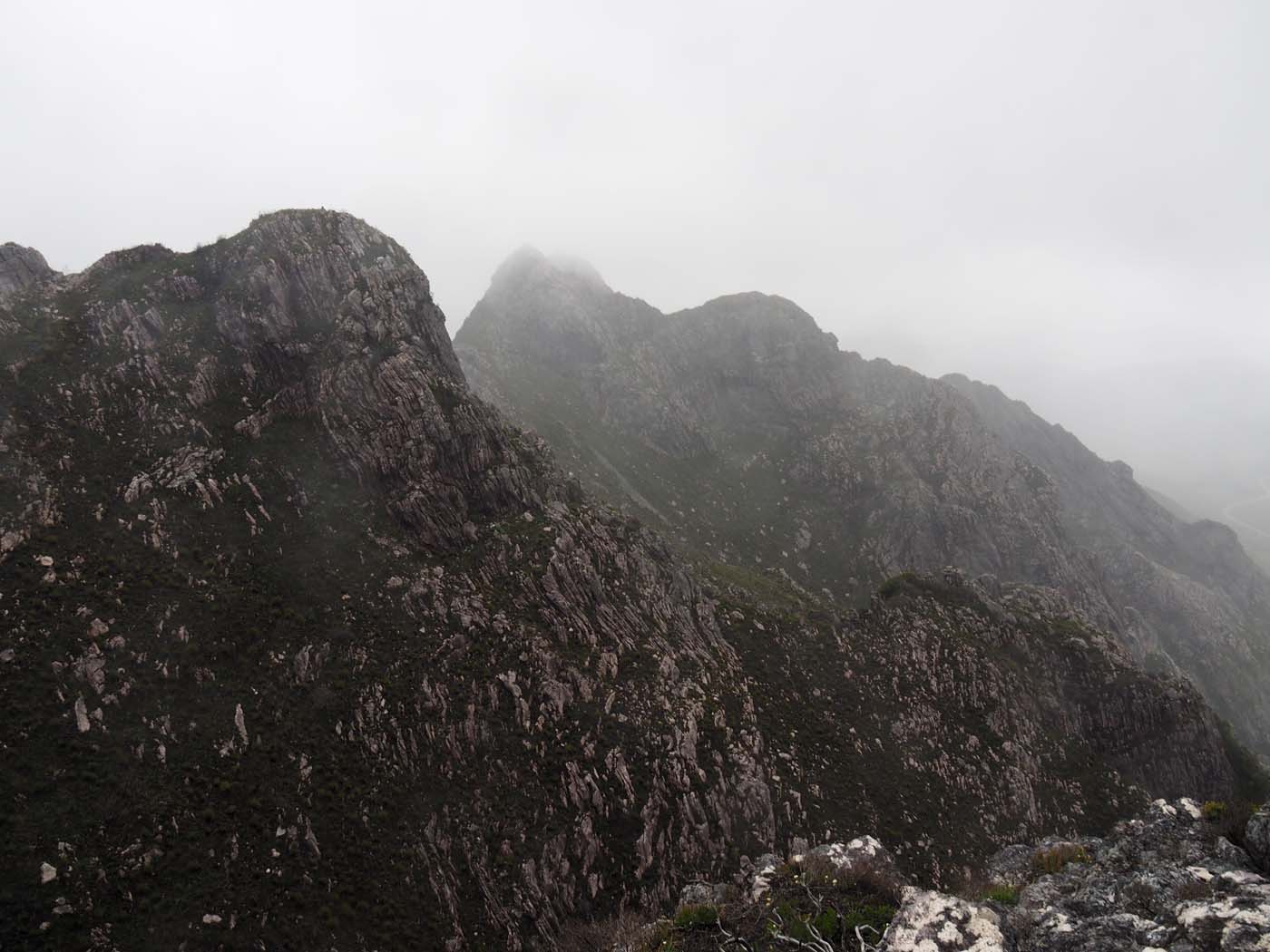 Sentinels summit track tasmania (44)