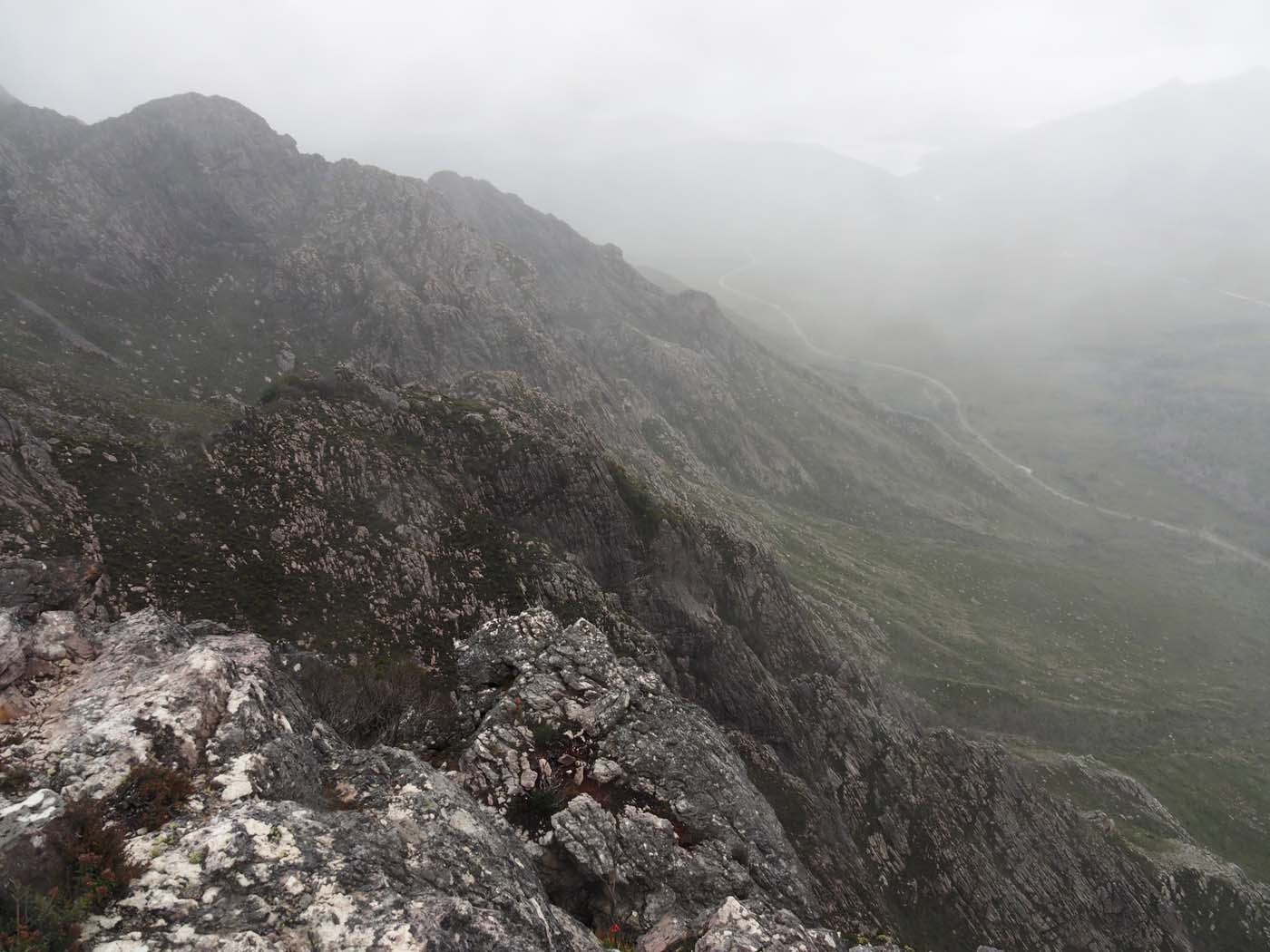 Sentinels summit track tasmania (47)
