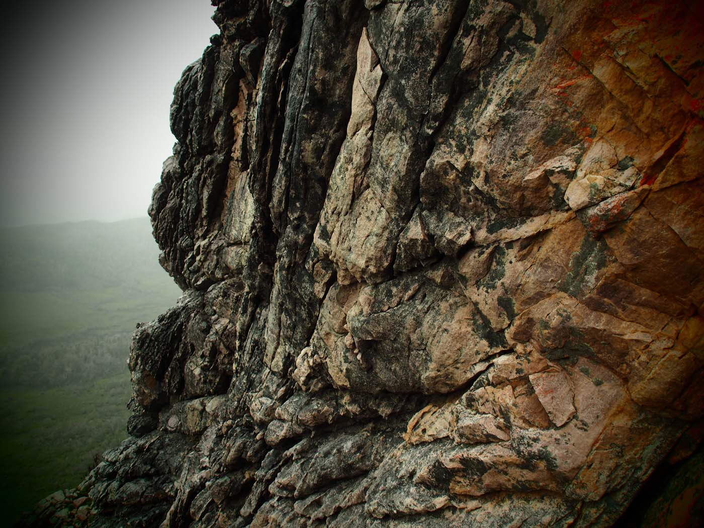 Sentinels summit track tasmania (58)
