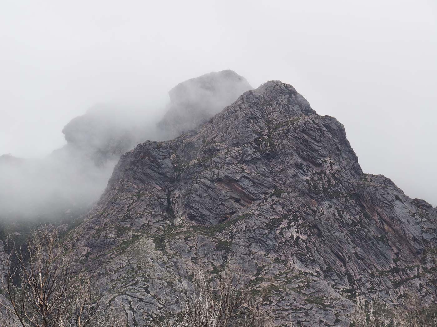 Sentinels summit track tasmania (6)