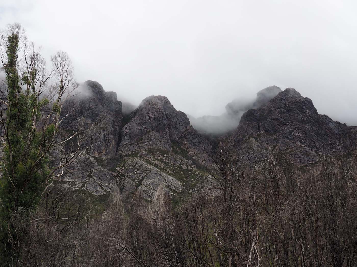 Sentinels summit track tasmania (7)