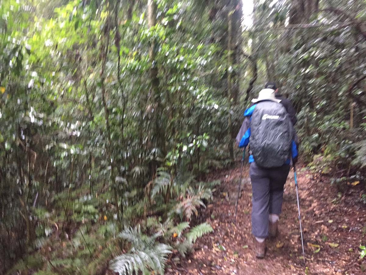 Ships stern circuit hike 1