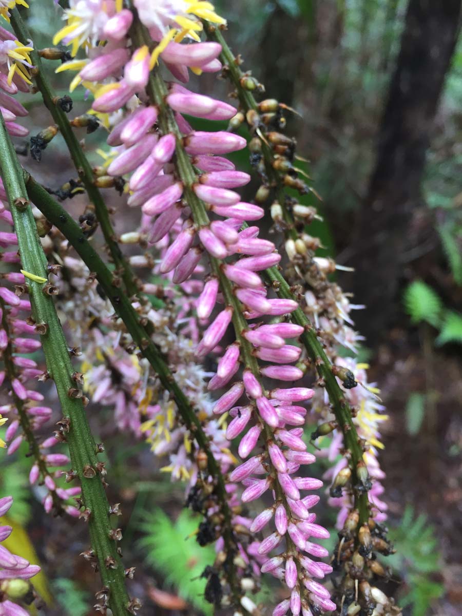 Ships stern circuit hike 19