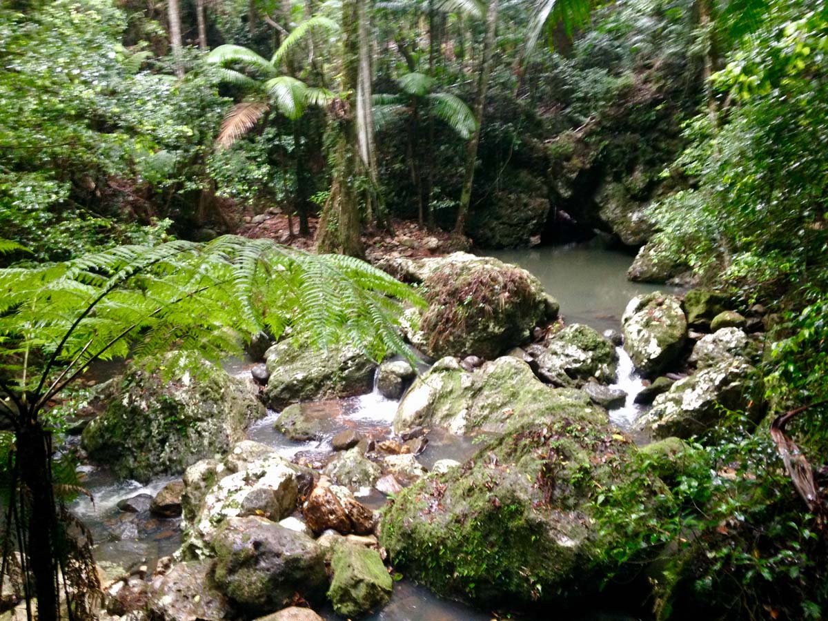Ships stern circuit hike 48