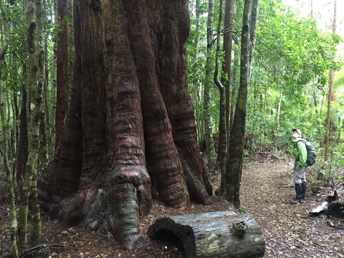 Ships stern circuit hike 62