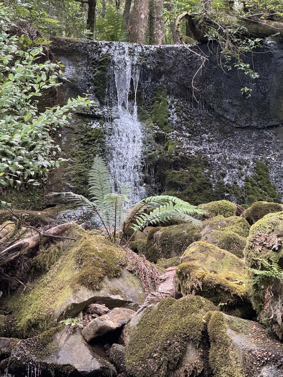 Shower cave & cleft rock falls hike (10)