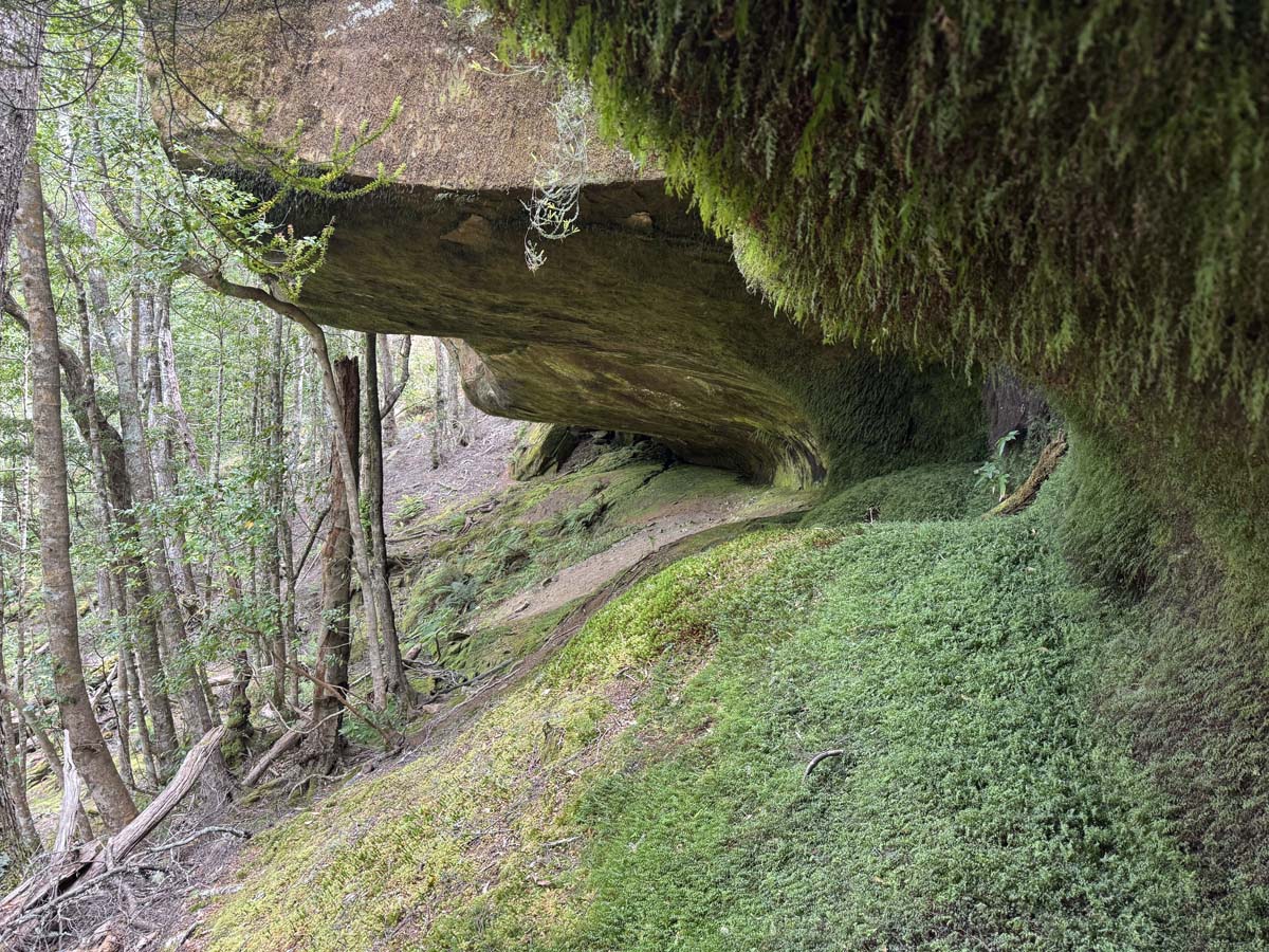 Shower cave & cleft rock falls hike (2)