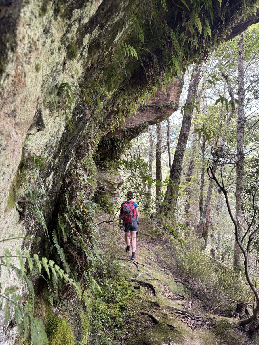Shower cave & cleft rock falls hike (4)