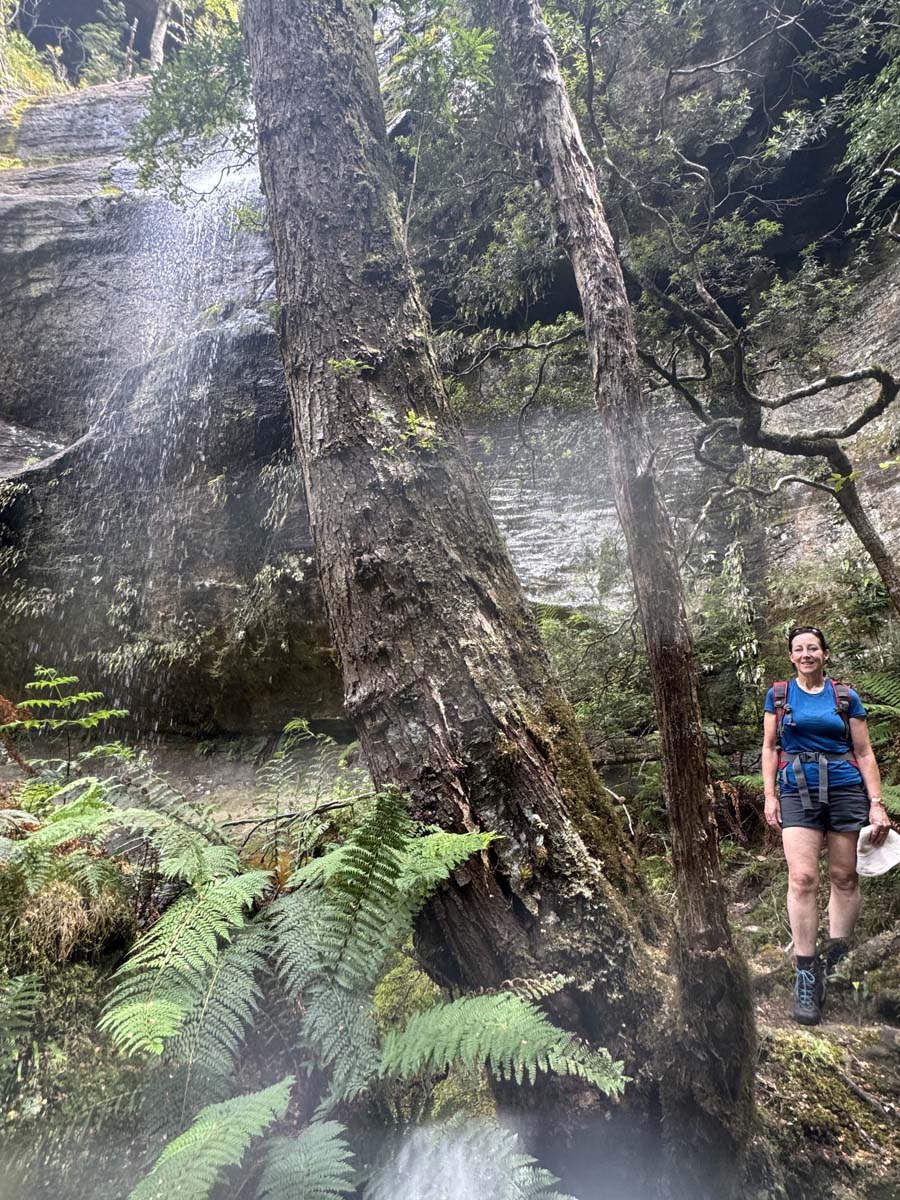 Shower cave & cleft rock falls hike (7)