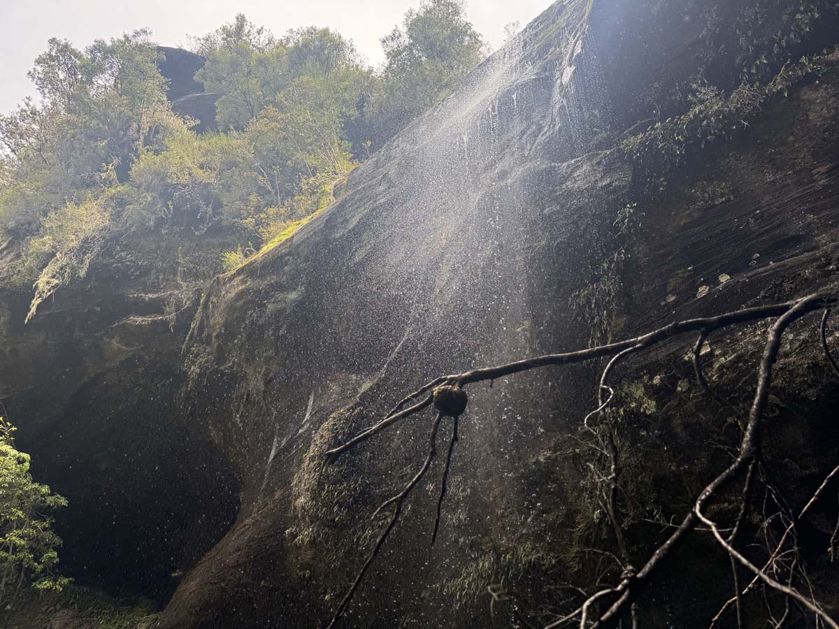 Shower cave & cleft rock falls hike (8)