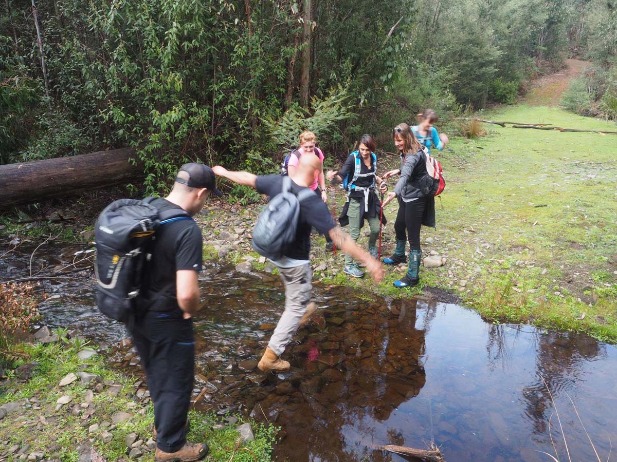 Silver creek circuit kinglake hike 1