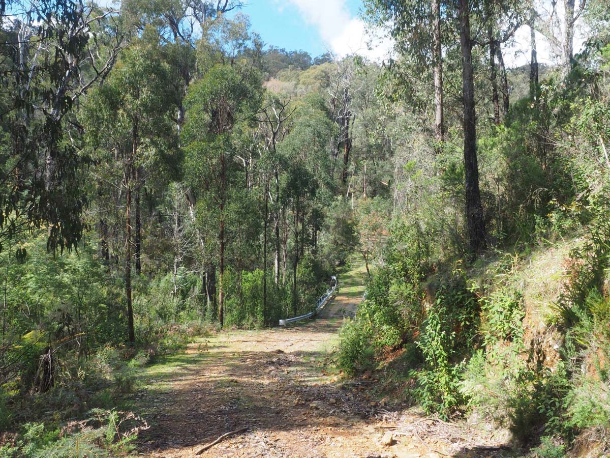 Silver creek circuit kinglake hike 12