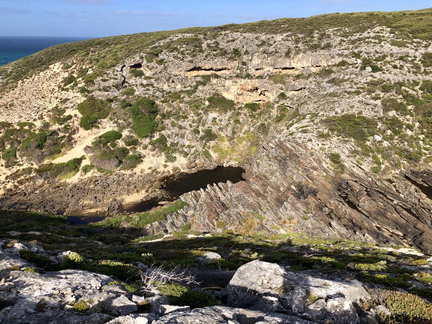 Snake lagoon walk (11)