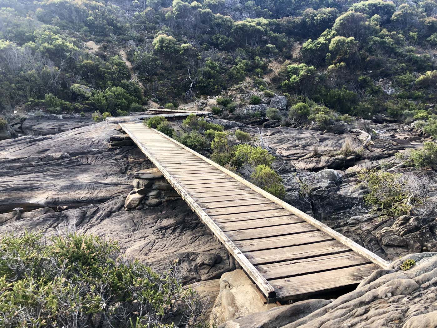 Snake lagoon walk (2)