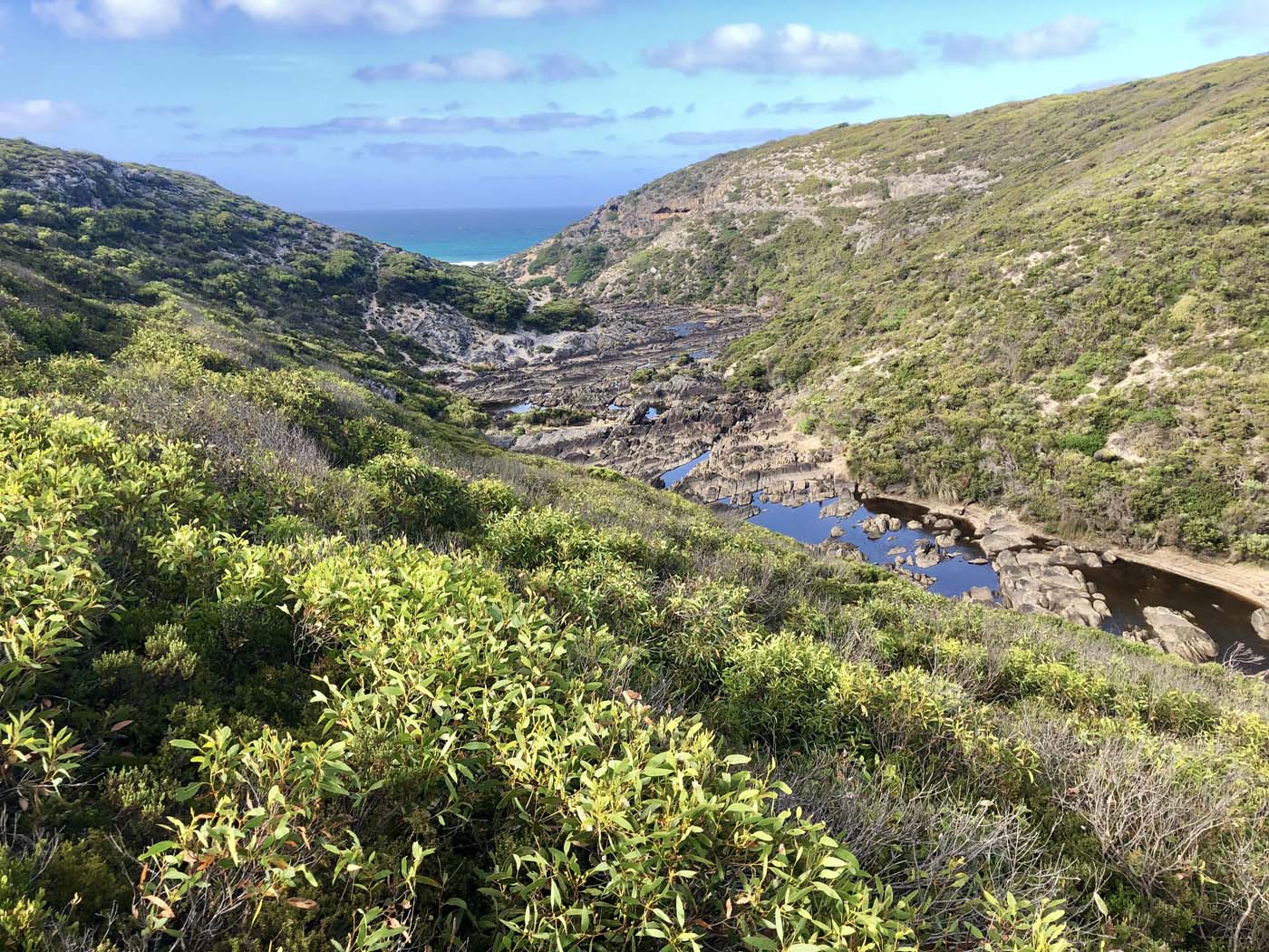 Snake lagoon walk (8)