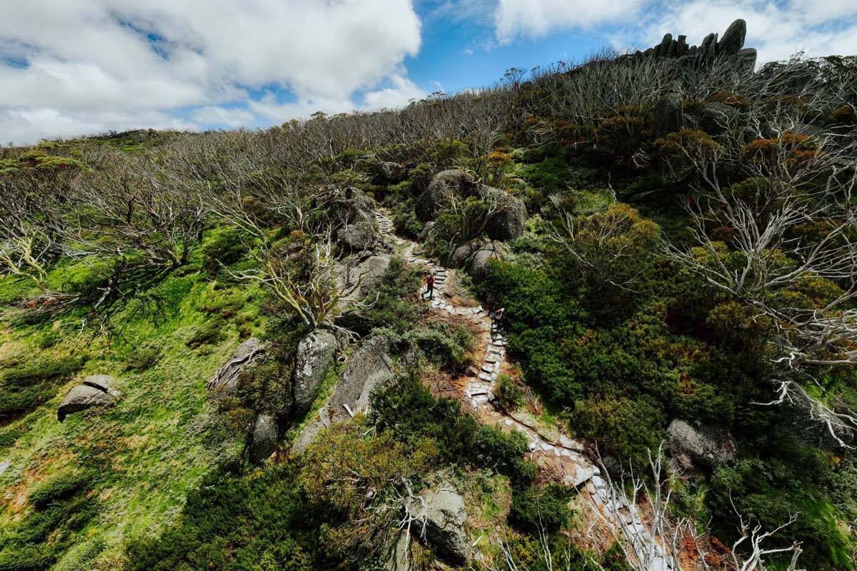 Snowies alpine walk (7)