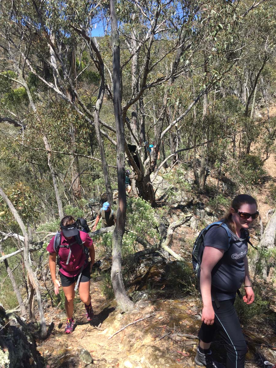 Spanish onion & lerderderg tracks hike 4