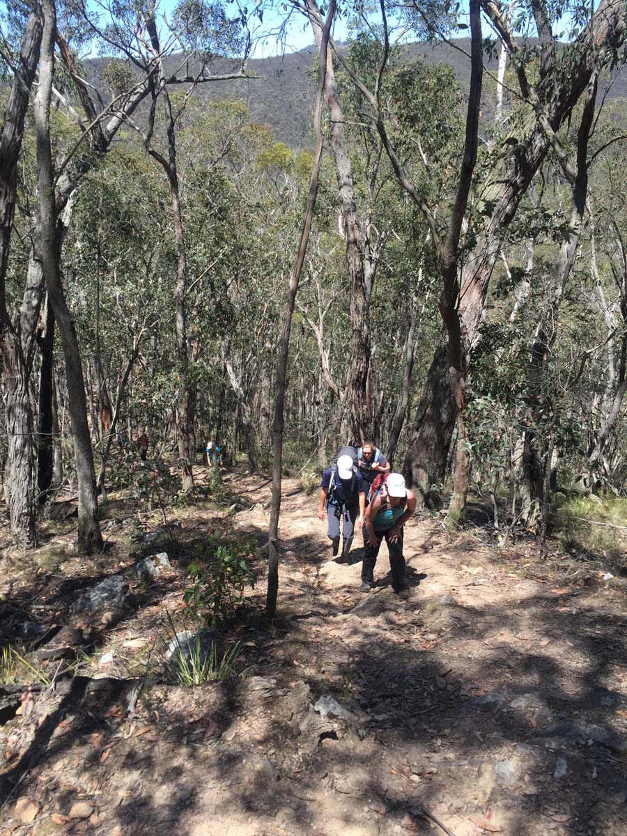 Spanish onion & lerderderg tracks hike 6
