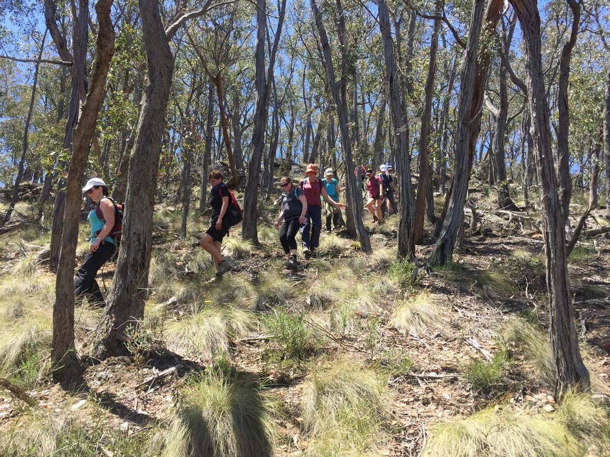 Spanish onion & lerderderg tracks hike 7