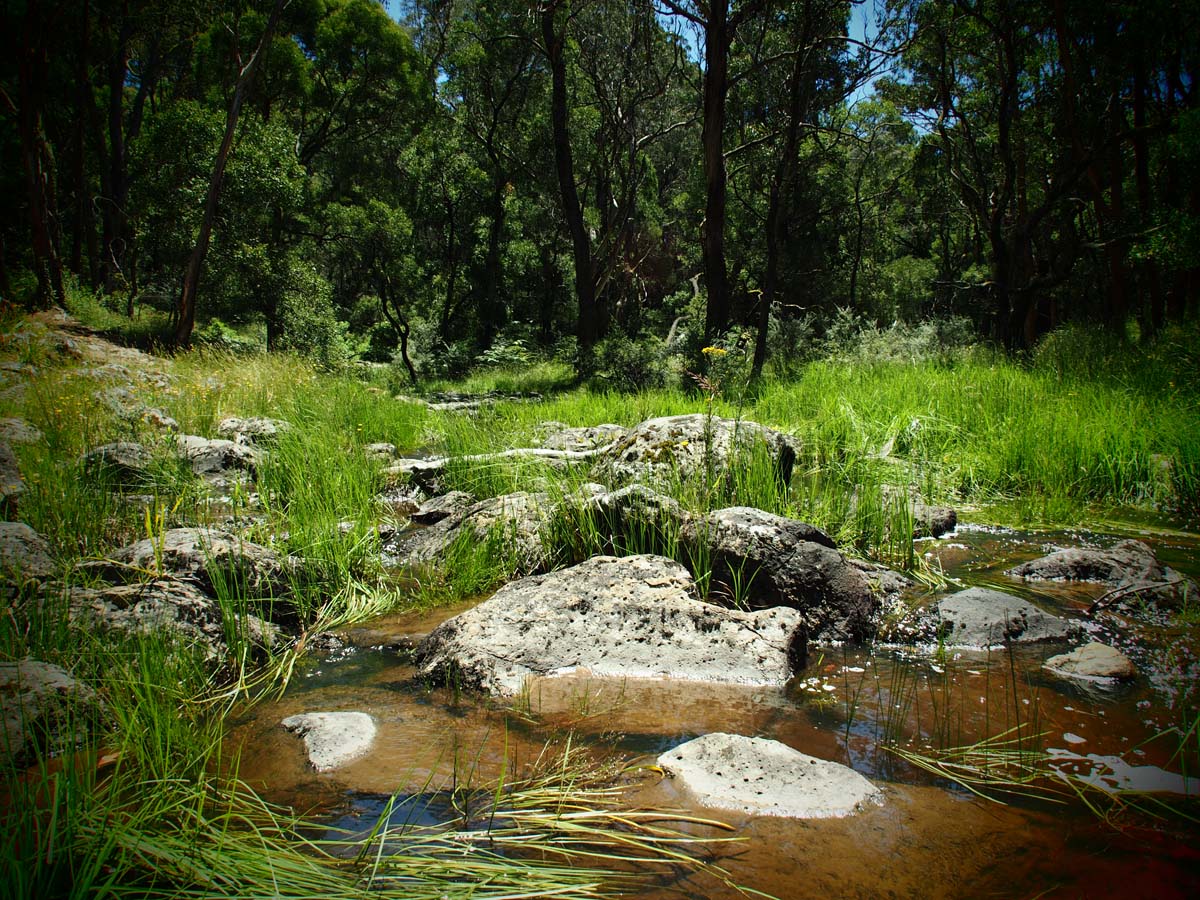 Spargo werribee river circuit hike 12