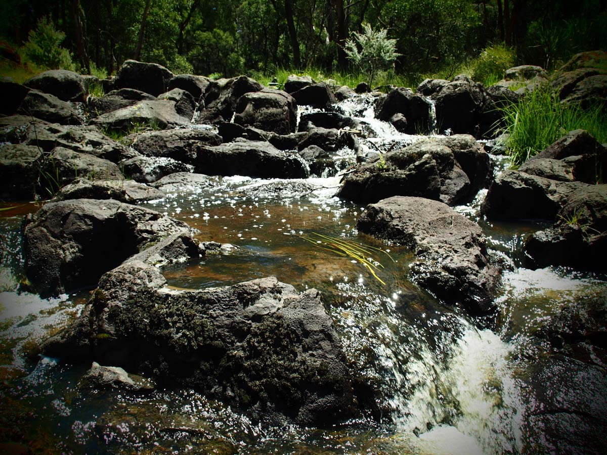 Spargo werribee river circuit hike 14