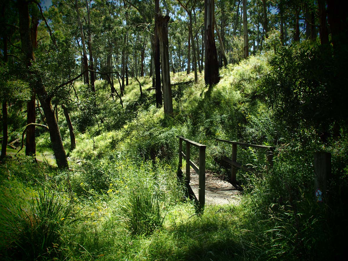 Spargo werribee river circuit hike 24