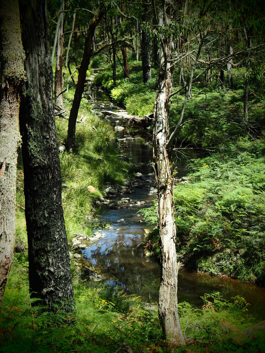 Spargo werribee river circuit hike 26