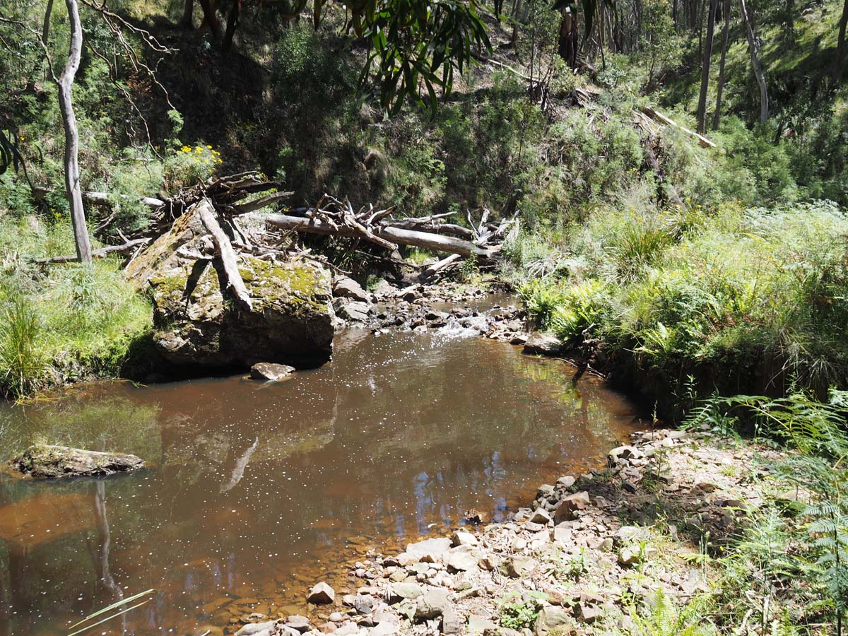 Spargo werribee river circuit hike 28