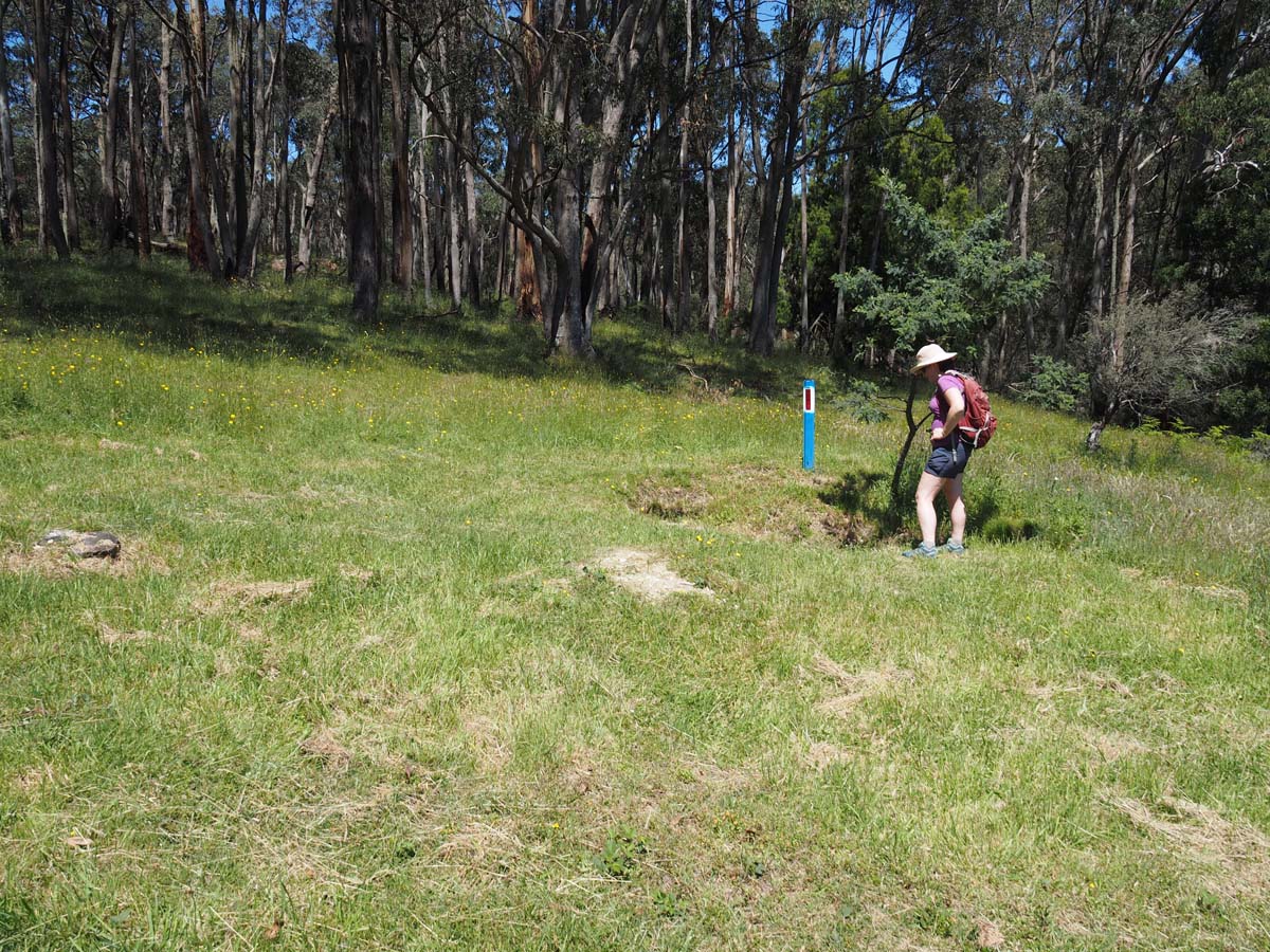 Spargo werribee river circuit hike 37