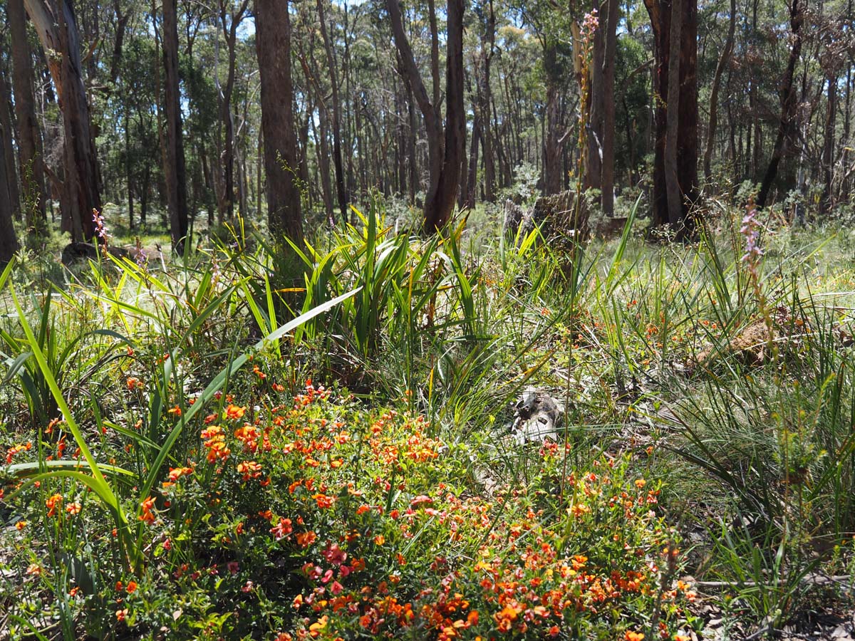 Spargo werribee river circuit hike 41