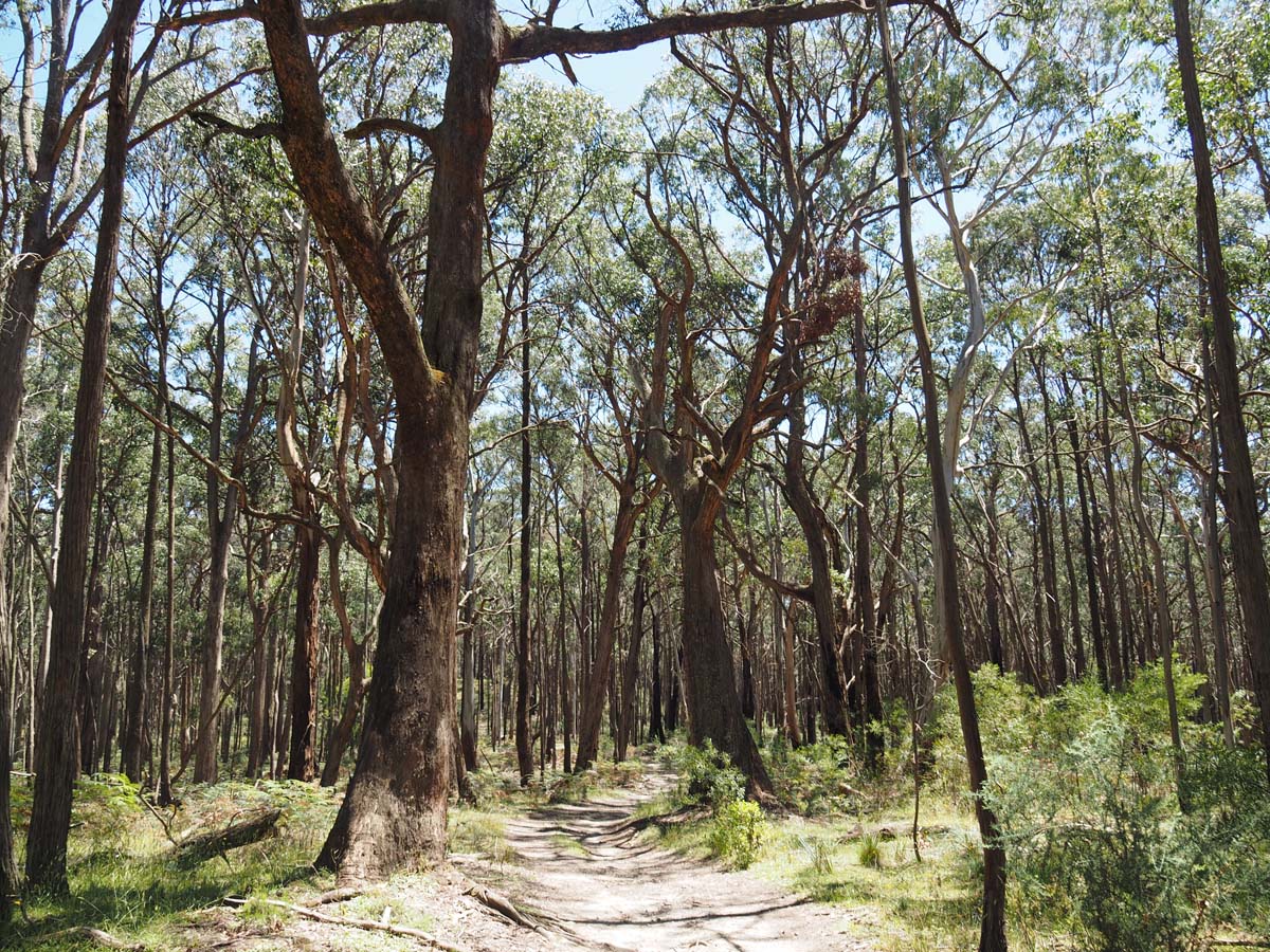 Spargo werribee river circuit hike 9
