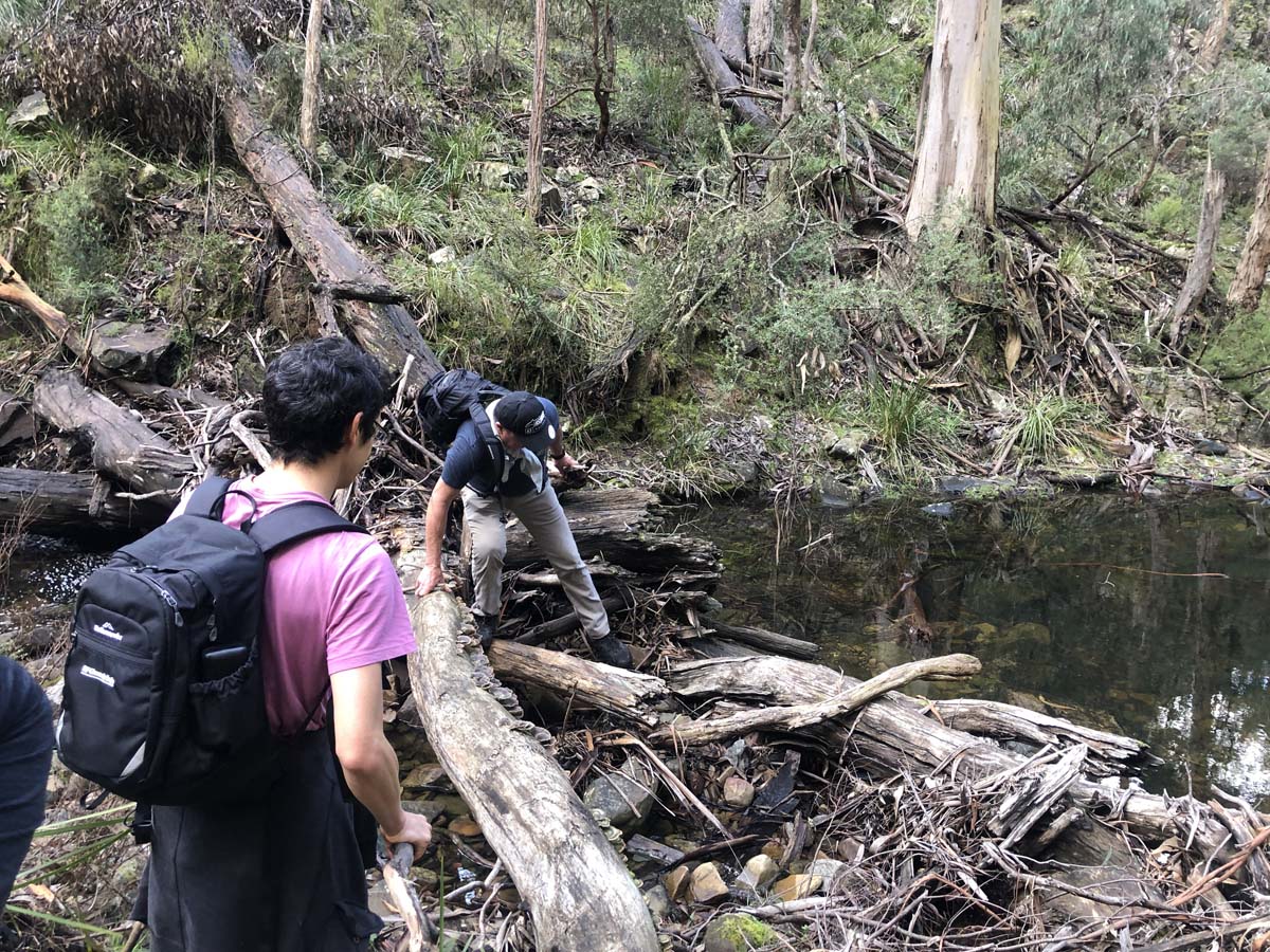 Square bottle & whisky circuit hike 11