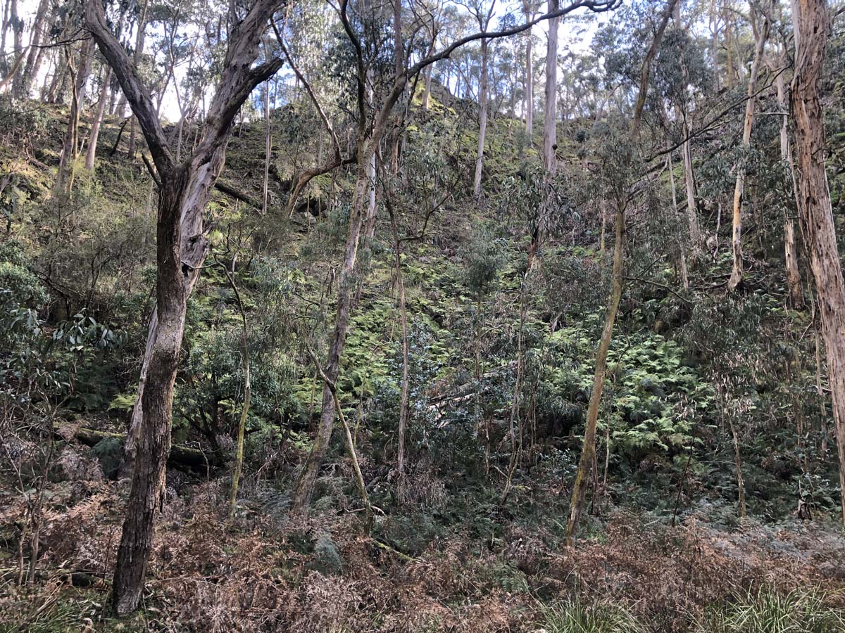 Square bottle & whisky circuit hike 13