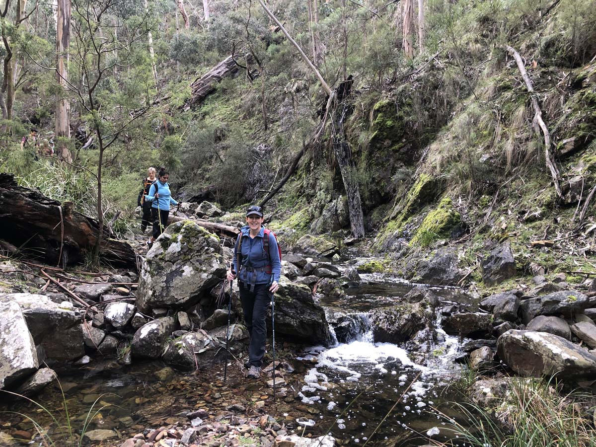 Square bottle & whisky circuit hike 15