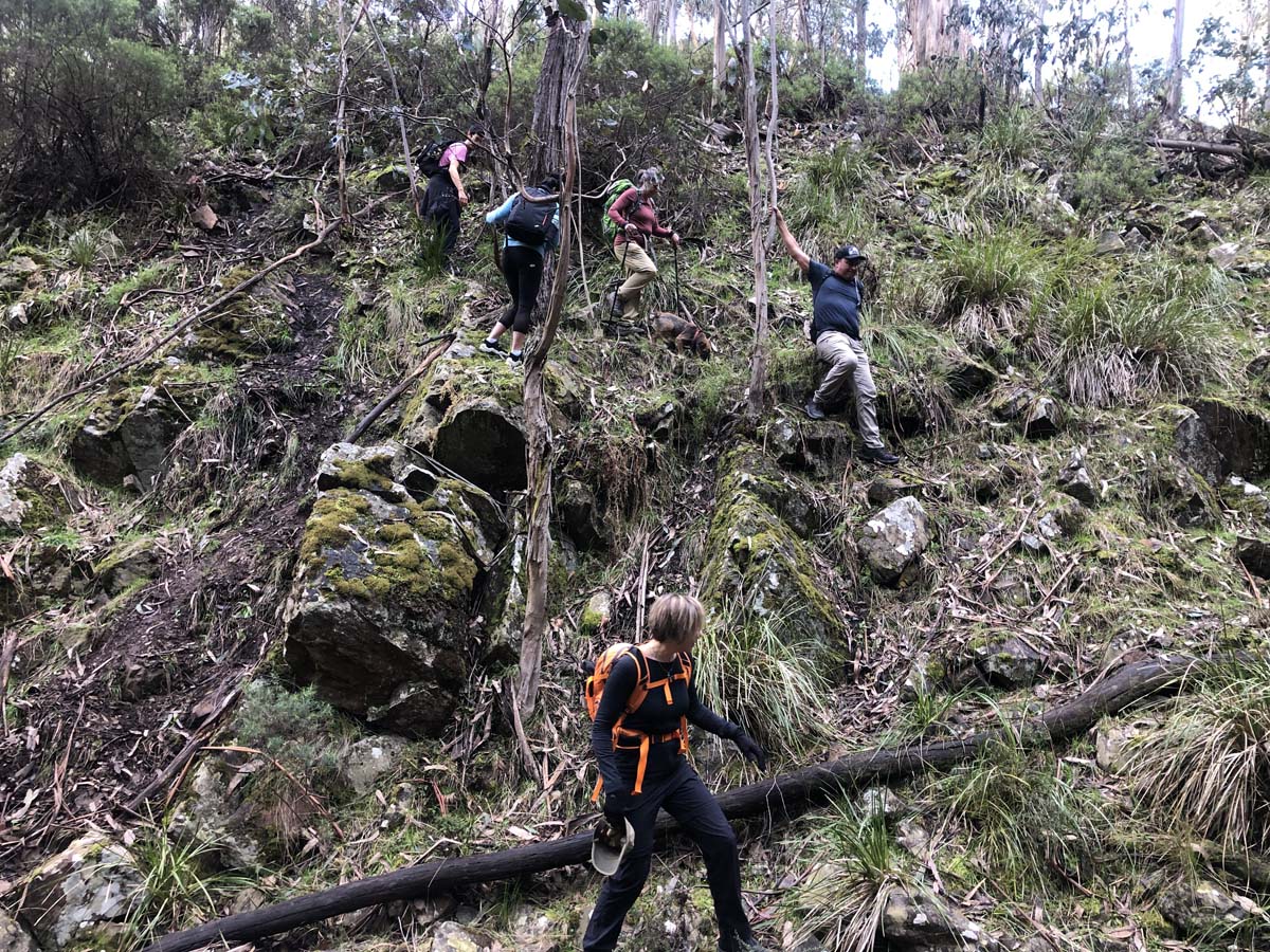Square bottle & whisky circuit hike 2