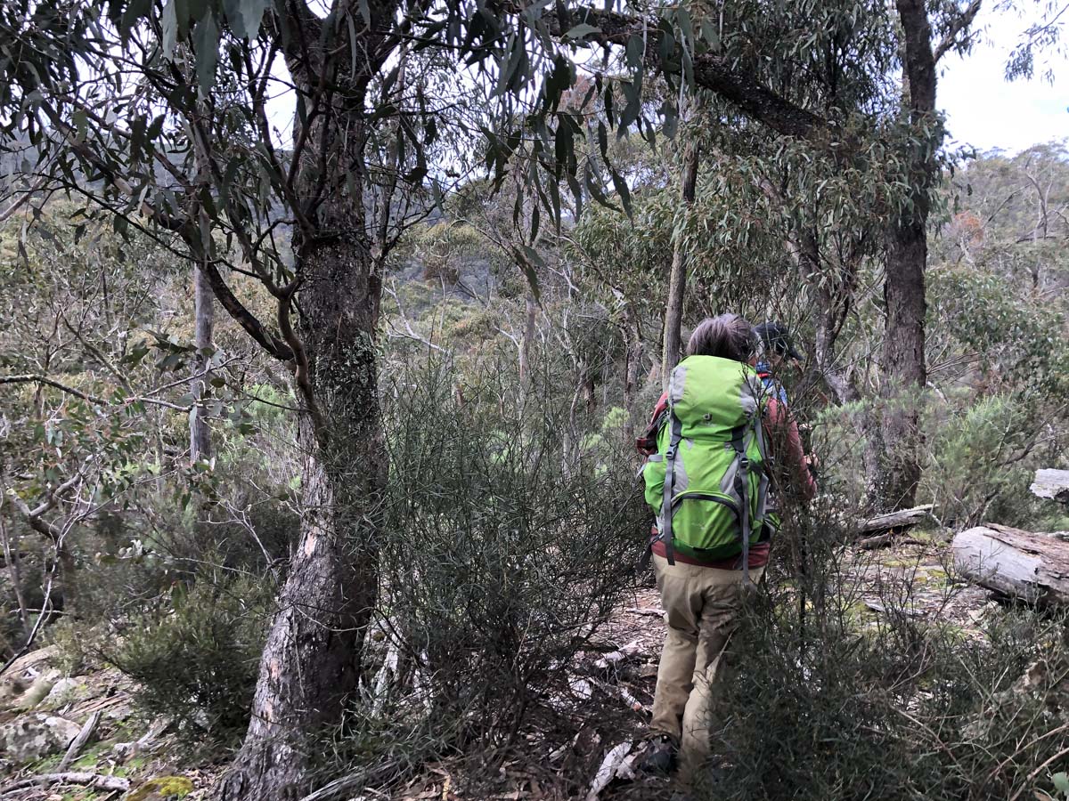 Square bottle & whisky circuit hike 23