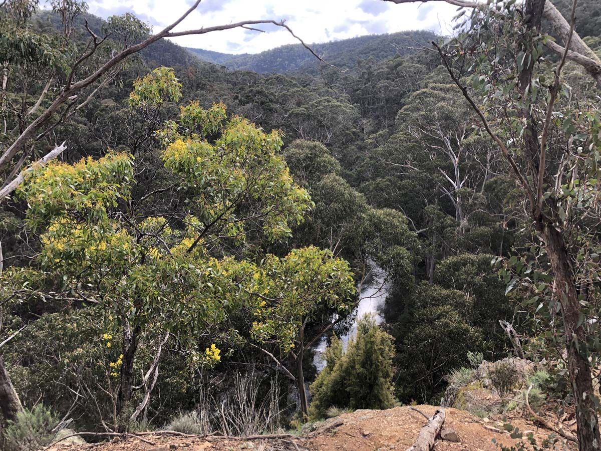 Square bottle & whisky circuit hike 24