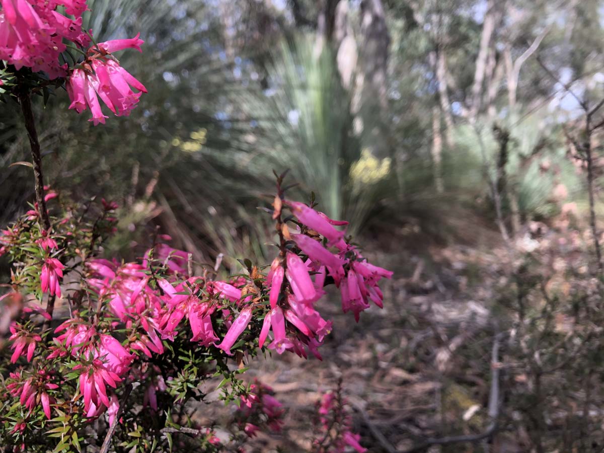 Square bottle & whisky circuit hike 29