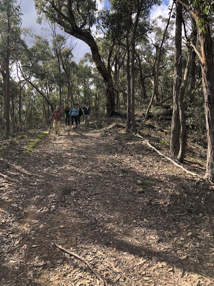 Square bottle & whisky circuit hike 30
