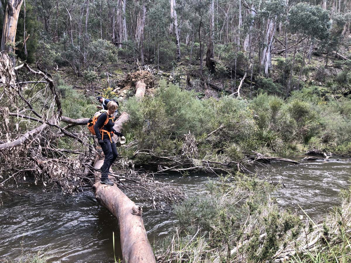 Square bottle & whisky circuit hike 31
