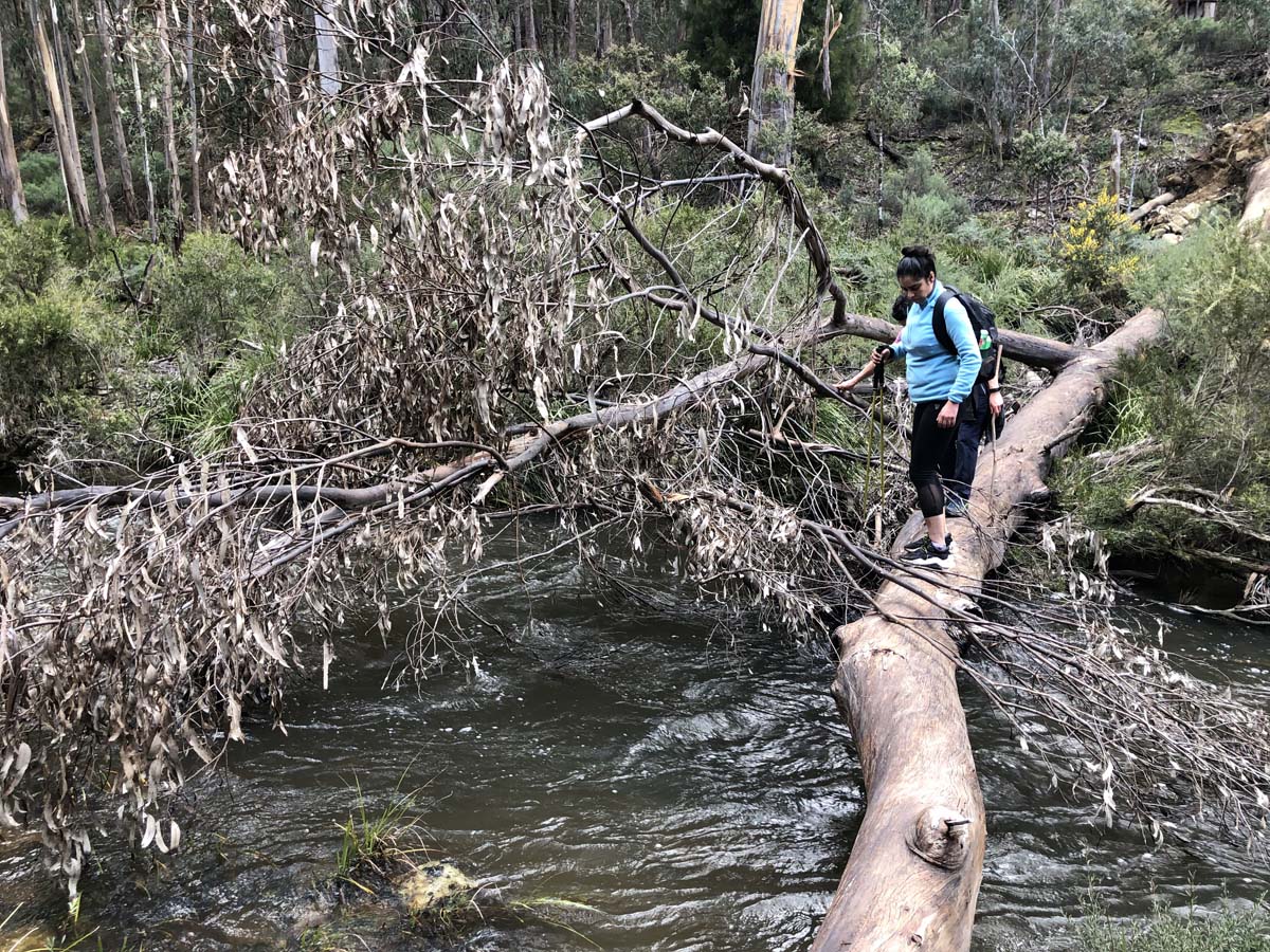 Square bottle & whisky circuit hike 32