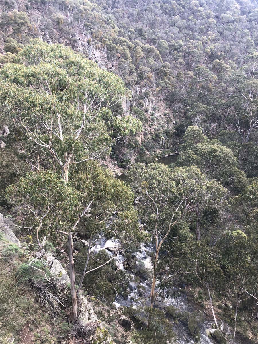 Square bottle & whisky circuit hike 33