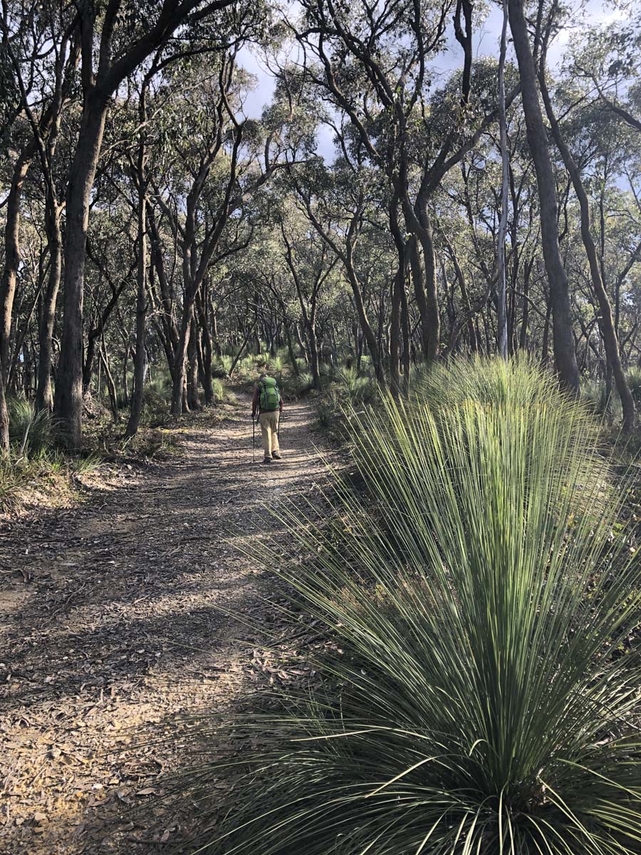 Square bottle & whisky circuit hike 36