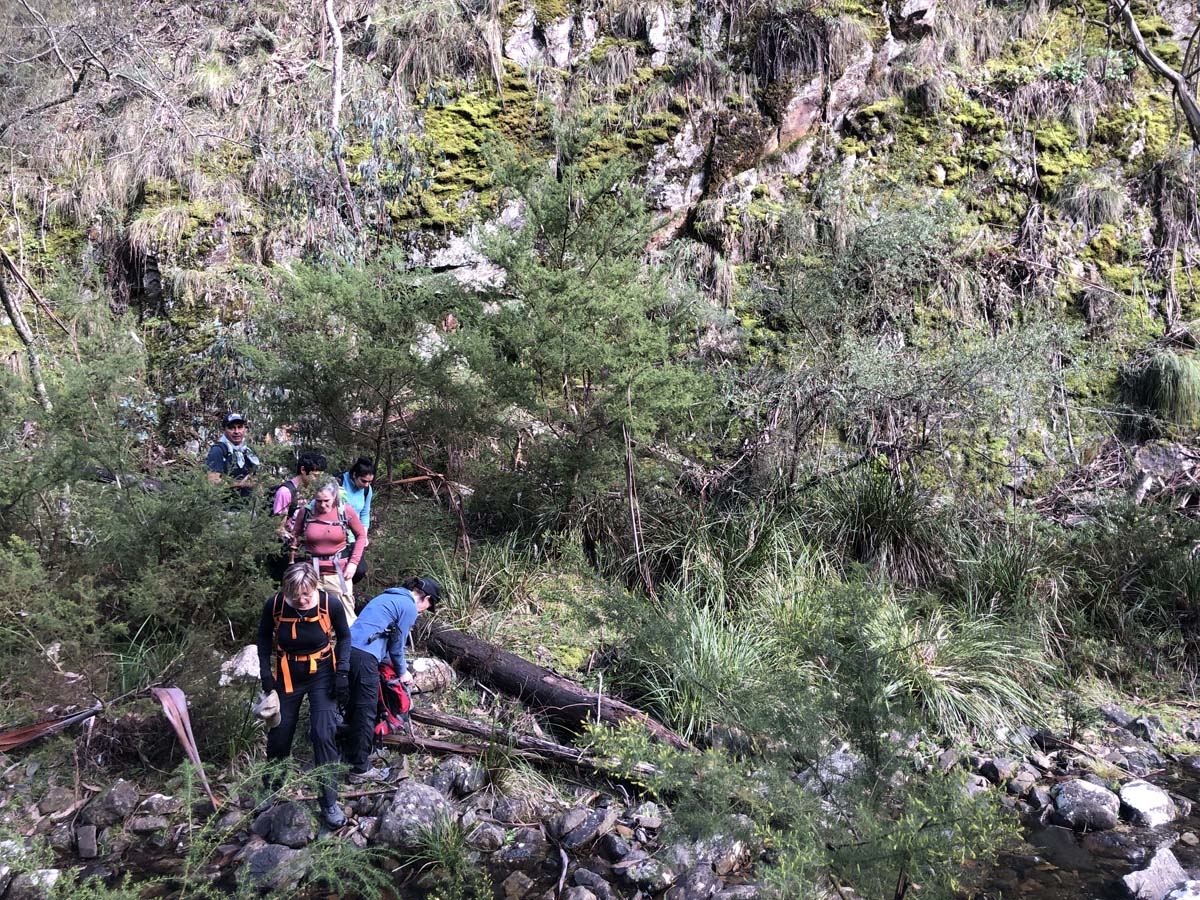 Square bottle & whisky circuit hike 4