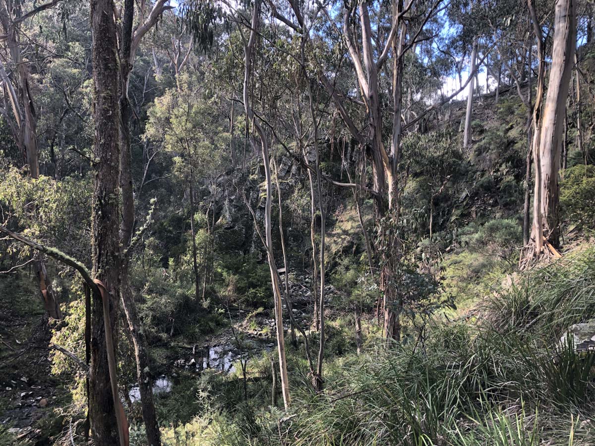 Square bottle & whisky circuit hike 5