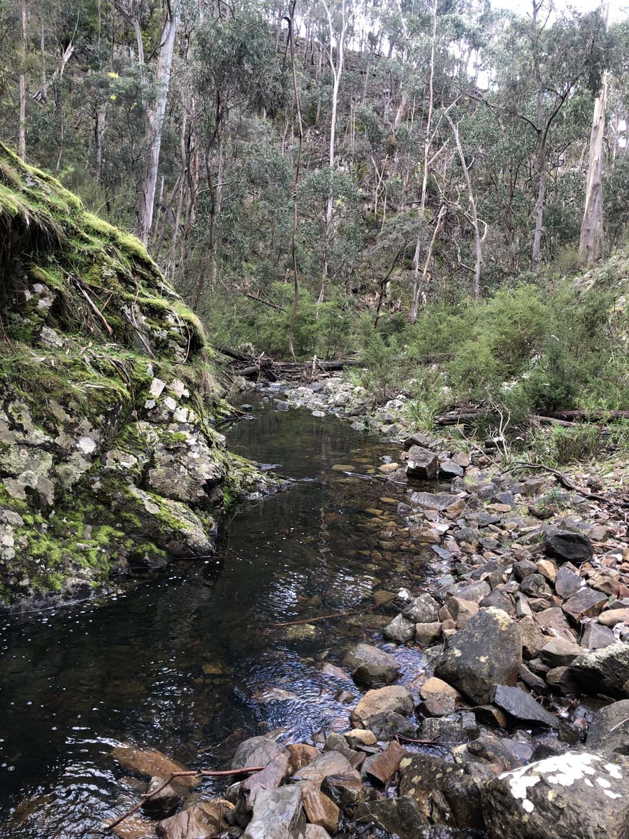 Square bottle & whisky circuit hike 8